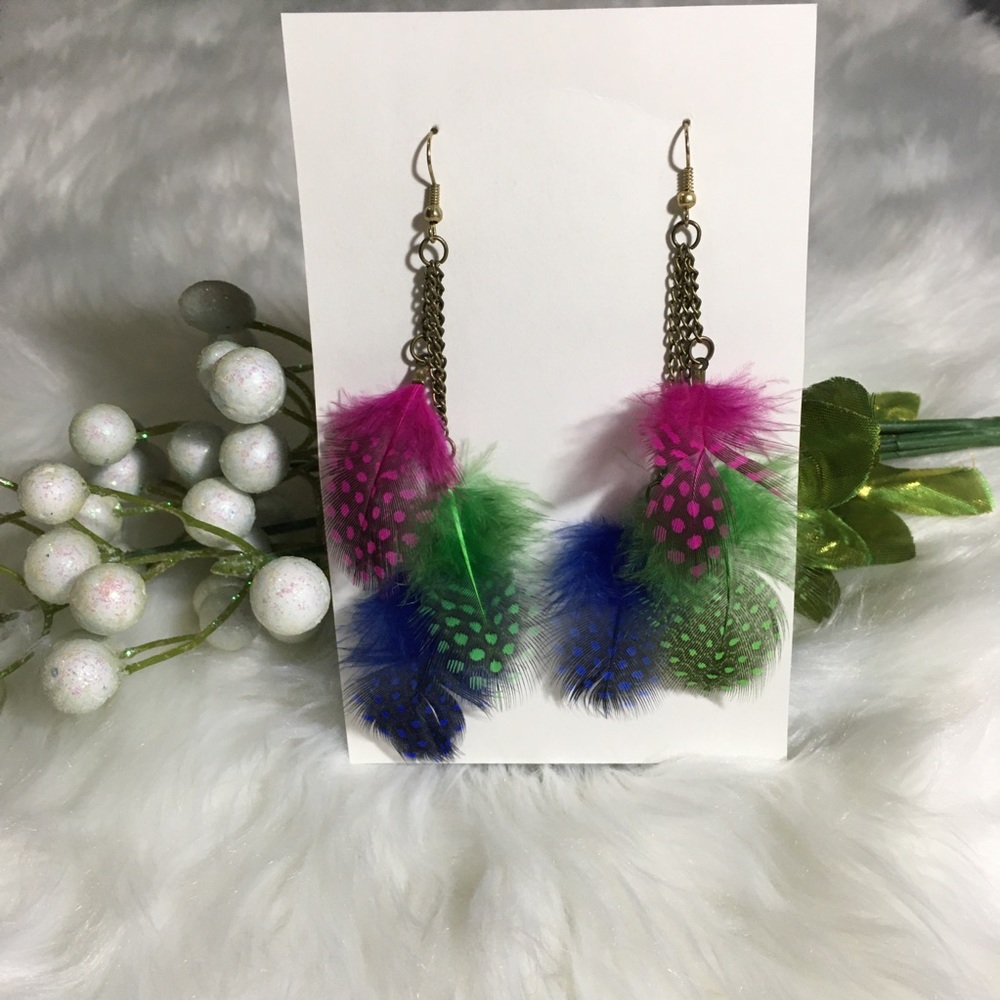 Dangly Multicolored Feather Earrings